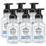 J.R. Watkins Foaming Hand Soap For Bathroom Or Kitchen, Scented, Usa Made And Cruelty Free, 9 Fl Oz, Ocean Breeze, 6 Pack.