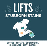 Laundry Stain Remover, Free & Clear, Unscented, Non Irritating, Remove Stains, Plant Based, Pack of 4, 16 Fl OZ Per Pack