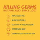 Cleaning Wipes, Safe Wipes | Made without Synthetic Fragrance | Fresh Lemon Scent | Quat Free Cleaning Wipes | 35 Count Per Pack, Pack of 1