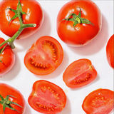 Tomato Herb Sauce, All Purpose, Keto Friendly Pasta Sauce, 24 OZ Per Jar, 1 Jar