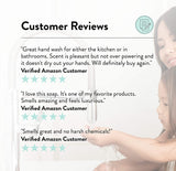 Hand Soap Ocean Breeze 11 Ounce Pack of 4