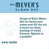 Mrs. Meyer's Clean Day Liquid Hand Soap, Cruelty Free and Biodegradable Formula, Rain Water Scent, 12.5 oz
