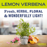 Dryer Sheets, Lemon Verbena Scent, Softens Fabric, Reduces Static, Cruelty Free Formula, Pack of 6, 80 Count Per Pack