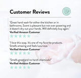 20632 Foam Hand Soap, Ocean Breeze Scent, 9 Oz 2-Packs