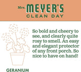 Multi-Surface Everyday Cleaner, Geranium Scent, 16 ounce bottle Pack of 2
