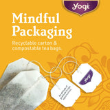 Yogi Tea - Green Tea Kombucha (6 Pack) - Supplies Antioxidants to Support Overall Health - 96 Tea Bags