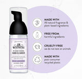 J.R. Watkins No-Rinse Foaming Hand Cleanser – Hand Soap in Pump Dispenser – Bathroom & Kitchen Foam Cleaner – All Natural, Alcohol Free, Blue Lavender, 1.6 fl. Oz