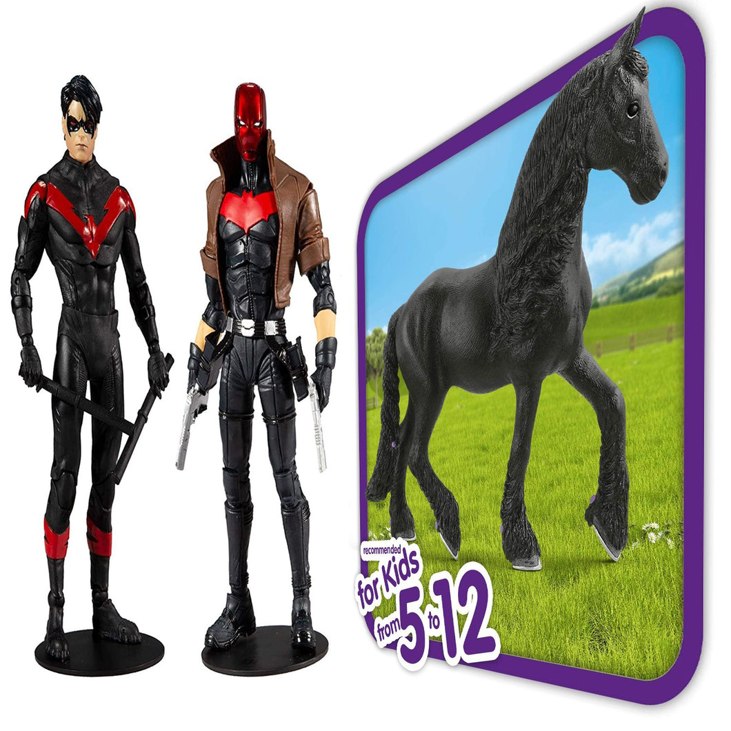 Toys DC Multiverse Red Hood and Nightwing 7