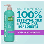 Body Wash, Lavender & Cedar Scent, Gently Cleanses and Revitalizes, Plant-Based Formula, Non-GMOs, Parabens, Harsh Preservatives, Synthetic Colors, Pack of 6, 12.5 Fl OZ Per Pack