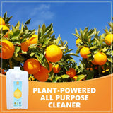 Non-Toxic All-Purpose Cleaner , Orange, US EPA Safer Choice certified, Plant-Powered Ingredients, Tough on Grease, Pack of 5, 80 Fl OZ Per Pack