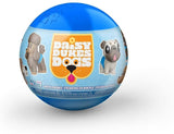 Funko Paka Paka - Daisy Duke Dogs (One Mystery Figure)