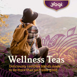 Yogi Tea - Green Tea Kombucha (6 Pack) - Supplies Antioxidants to Support Overall Health - 96 Tea Bags