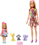 Barbie and Chelsea The Lost Birthday Playset with Barbie & Chelsea Dolls, 3 Pets & Accessories, Gift for 3 to 7 Year Olds