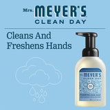Foaming Hand Soap, Cruelty Free Formula, Rain Water Scent, 10 oz Each 1-Pack