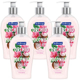 Effective Liquid Hand Soap for Daily Use Natural Hand Soap Essential Oils for Hand Wash Cruelty Free Eco Friendly Product Rosemary Scented Soap 13 FL OZ Per Bottle, 5 Bottles