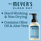 Foaming Hand Soap, Cruelty Free Formula, Rain Water Scent, 10 oz Each 1-Pack