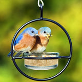 Couronne Company M045-200 3.4 oz Recycled Glass and Metal Hanging Sphere Bird Feeder